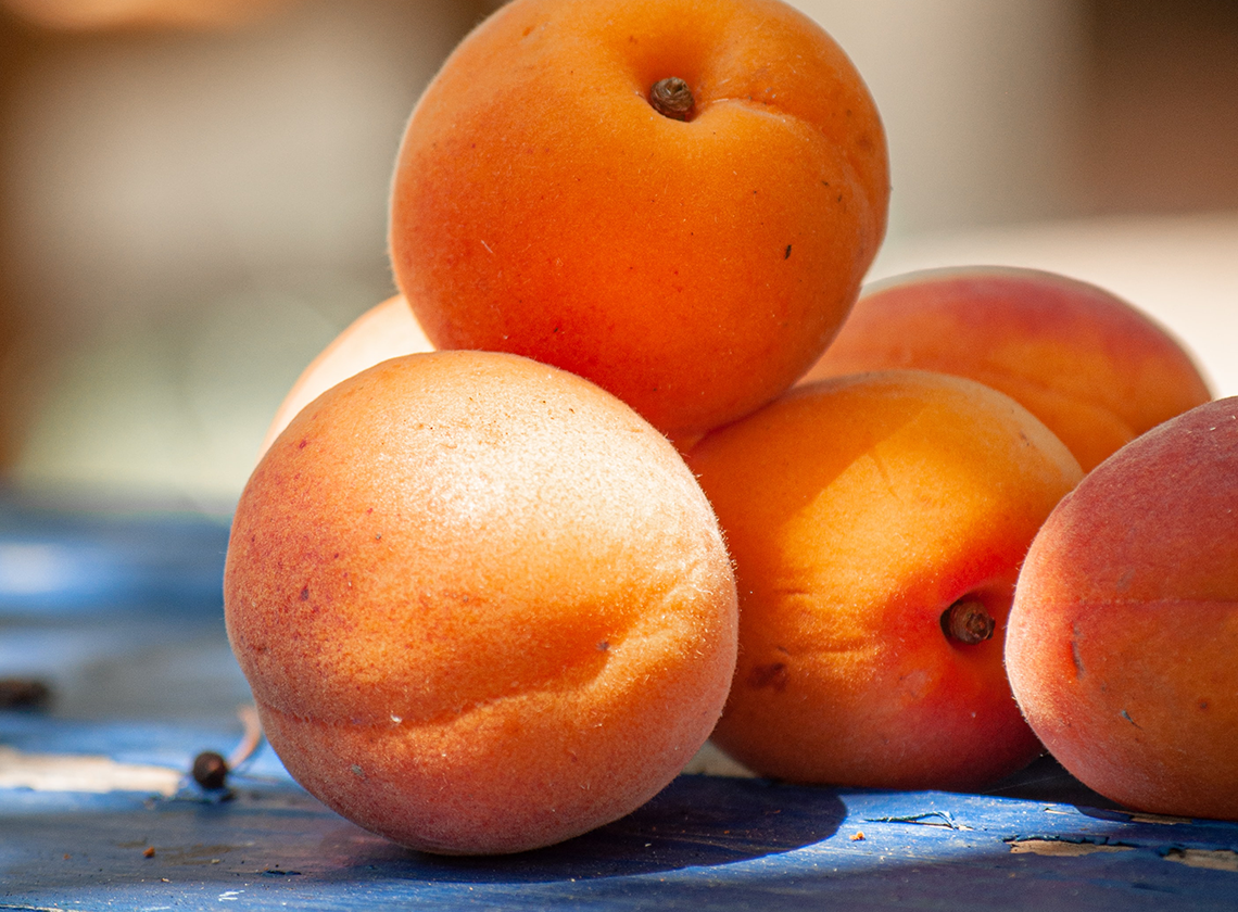 apricot kernel oil benefits