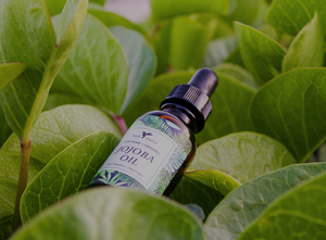Here’s why You Need Jojoba Oil in your Life