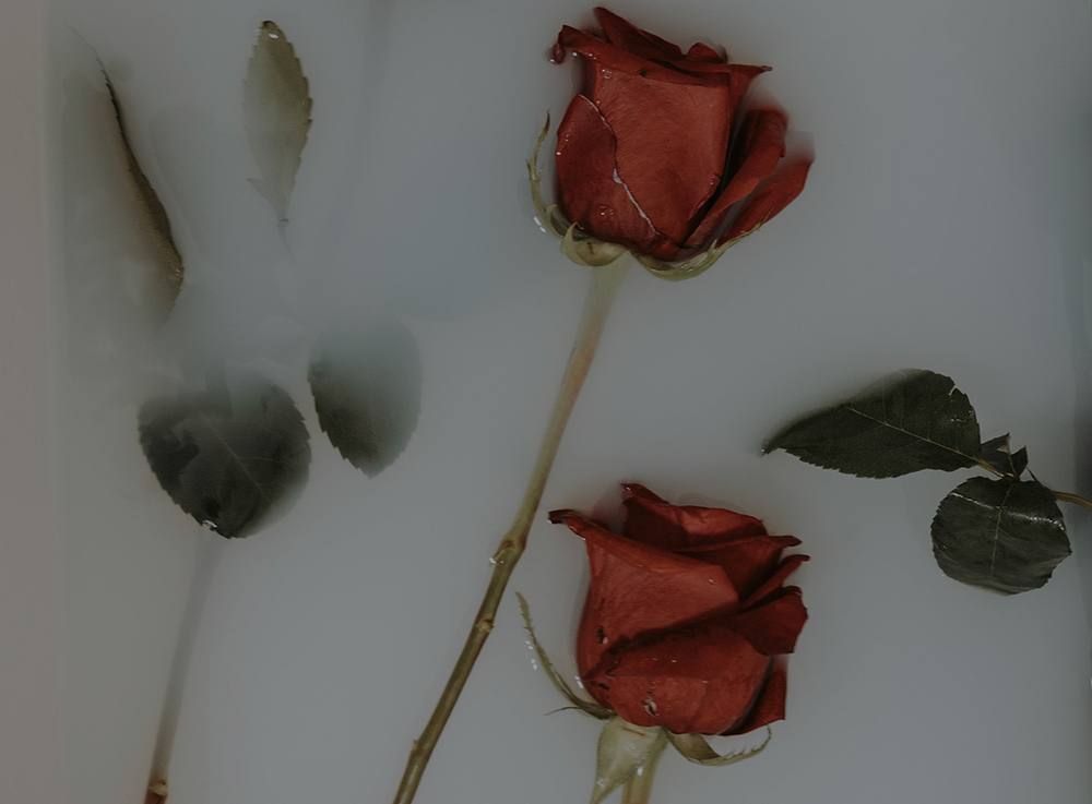 DIY Rice Milk Face Cream with Nourishing Rose Baja Basics